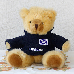 Edinburgh Bear