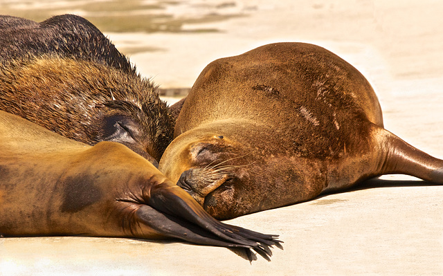 Mittagsruhe / Siesta / Sieste