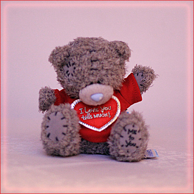 Valentine Bear