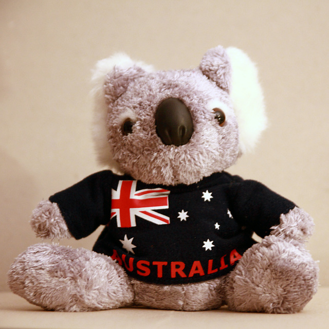 Aussie Bear called Bruce