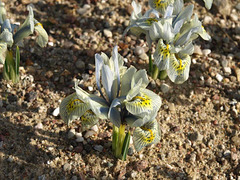 P3090225