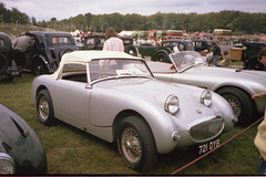 Image101 Frogeye Sprite