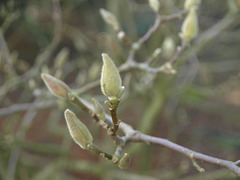 P3090285