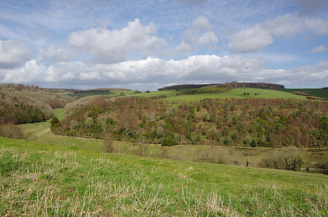 Arundel Park