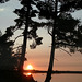 Sunset & trees Clayton lake 2003