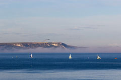 Yachts and sea fog