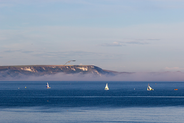 Yachts and sea fog