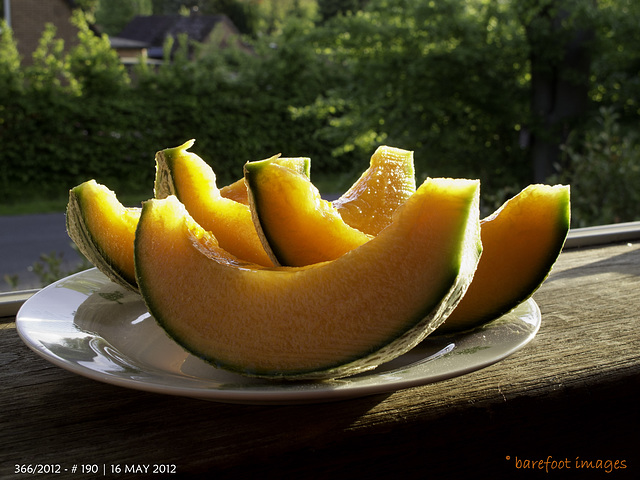 190|366: yesterday's melon, ready to eat