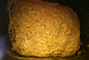 Bread Dough