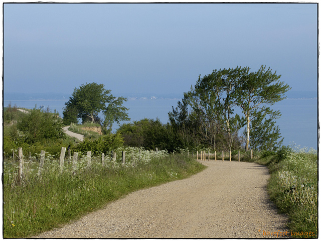 walking the clifftop