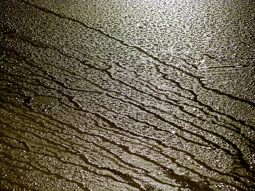 Dew on a bus stop roof