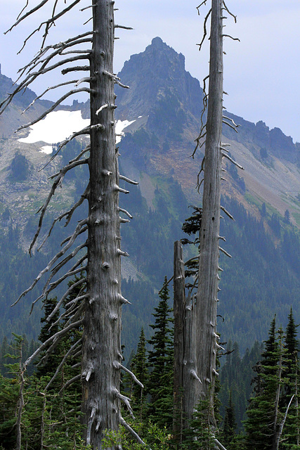 Pinnacle Peak