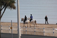 Beach riding