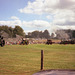 Image3 Steam Rally Arena