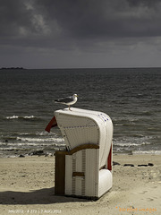 273|366: Emma und ihr Strandkorb - emma and her wicker beach chair