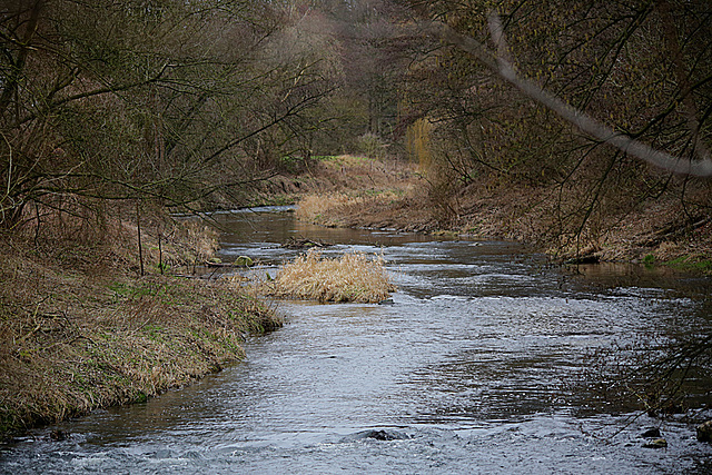 20140210 0067VTw [D~LIP] Werre, UWZ, Bad Salzuflen