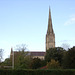 DSCF1914a  Salisbury Cathedral