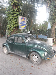 Coccinelle zapatiste / Mexican VW.