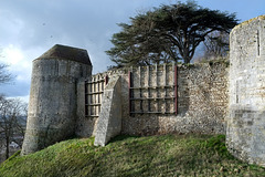 Château de Nogent-le-Rotrou