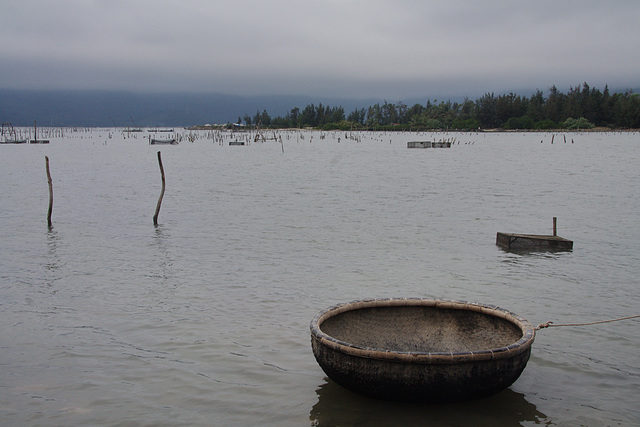 Muschelzucht /aquaculture:  shell farming