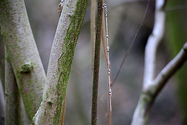 20140210 0063VTw UWZ Halskette