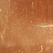 Texture - Rusted Door
