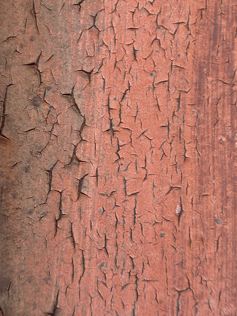 Texture_Cracks_6