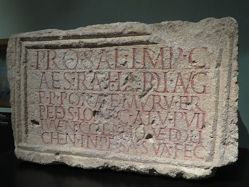 Museum Carnuntinum : AE 2004, 1131