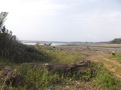 Plage rude et sauvage / Rough wild beach