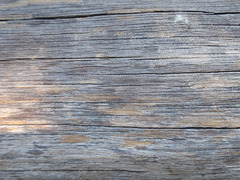 Texture_Wood