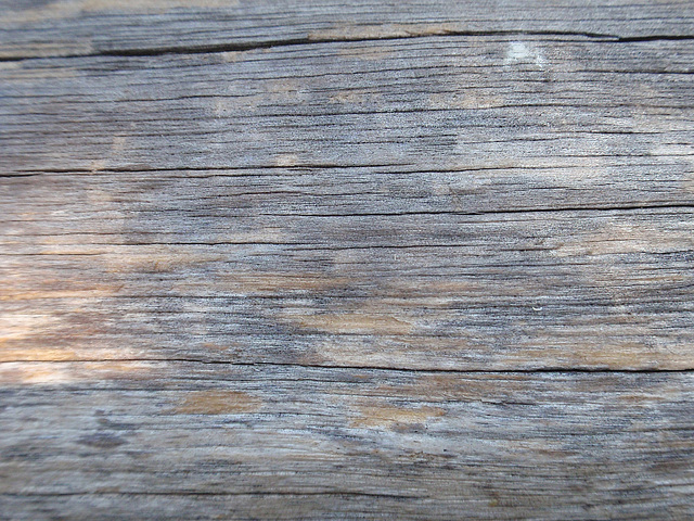 Texture_Wood