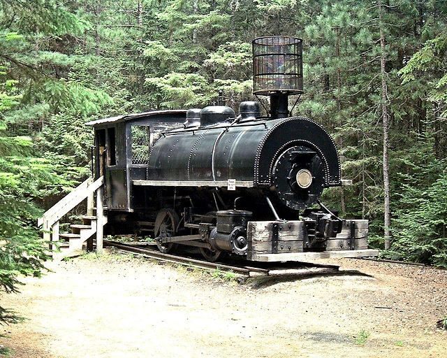 Logging Camp Saddle tank engine