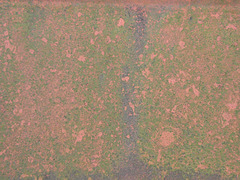 Texture_Roof Tile