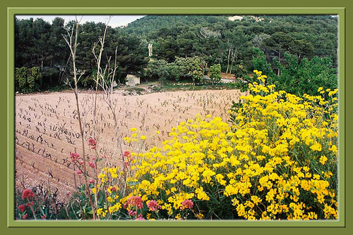 Spring in Provence_2