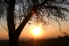 Sonnenuntergang über dem Osterzgebirge