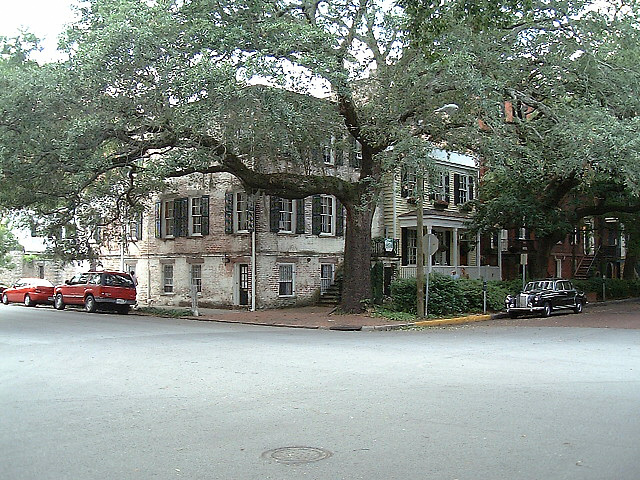 DSCF0046a Savannah