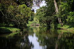 Chateau Lednice Park