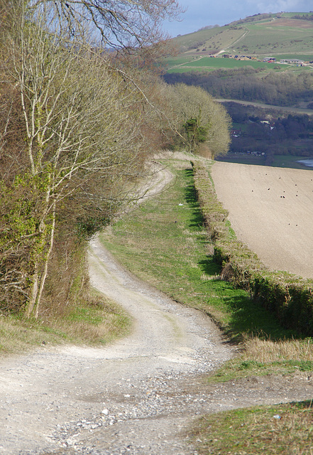 South Downs Way