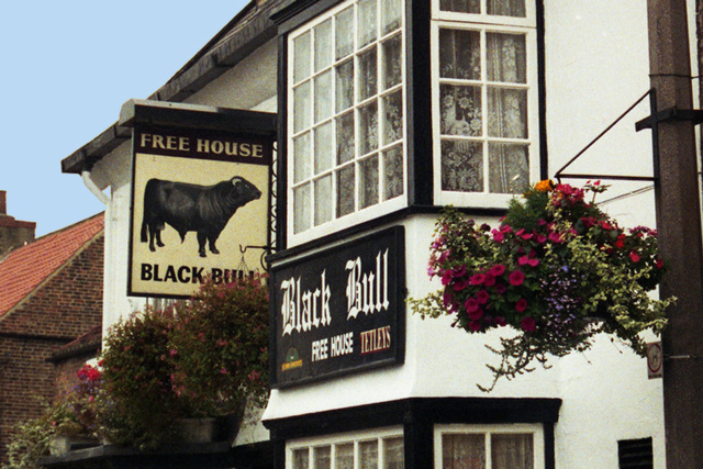 Black Bull Sign