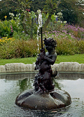 Duke's Garden  -  Fountain