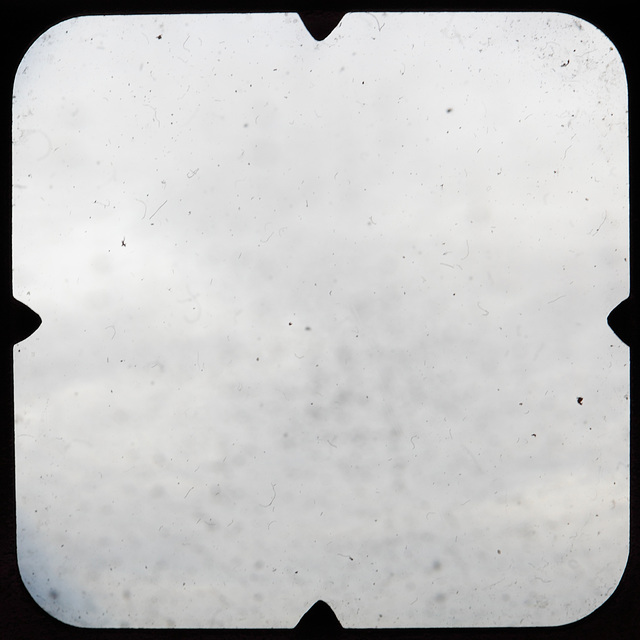 TTV_Fokaflex_Texture 2