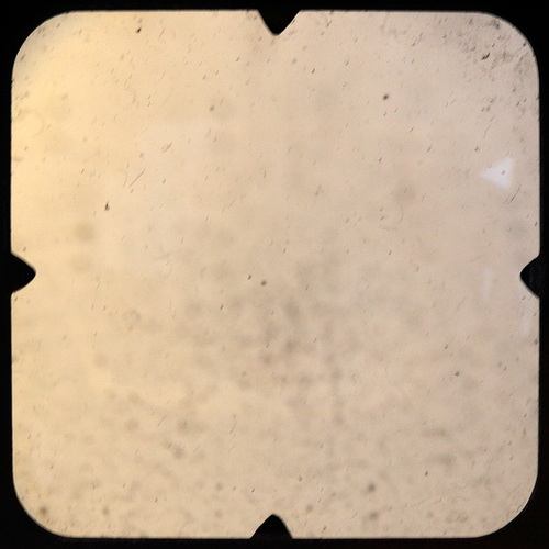 TTV_Fokaflex_Texture 4