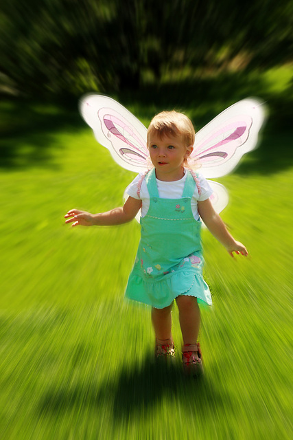 Little Fairy