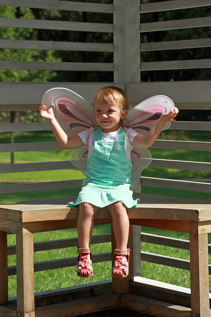 Little Fairy 1