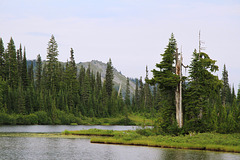 Reflection Lakes