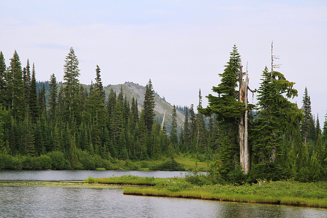 Reflection Lakes