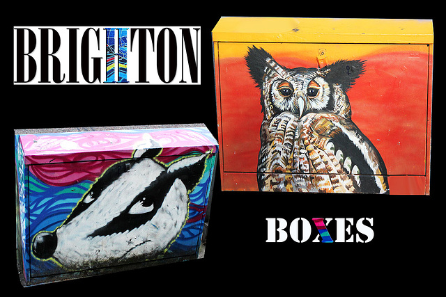 Brighton - Owl & Badger - relay box art - 22.11.2013