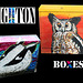 Brighton - Owl & Badger - relay box art - 22.11.2013
