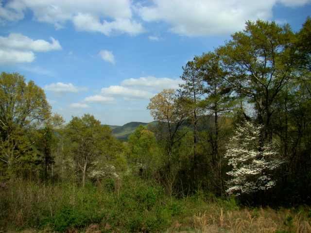 Springtime in Alabama