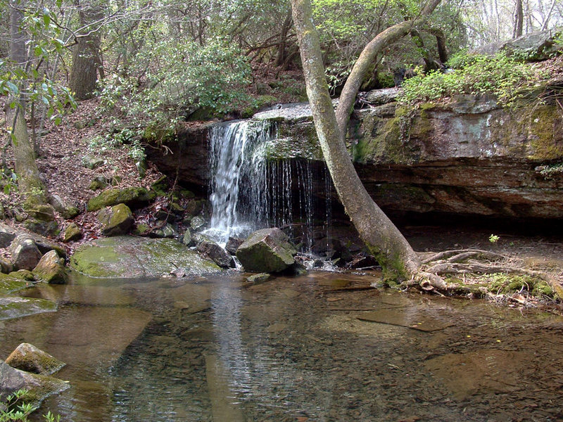 Laurel Falls in Desoto State Park